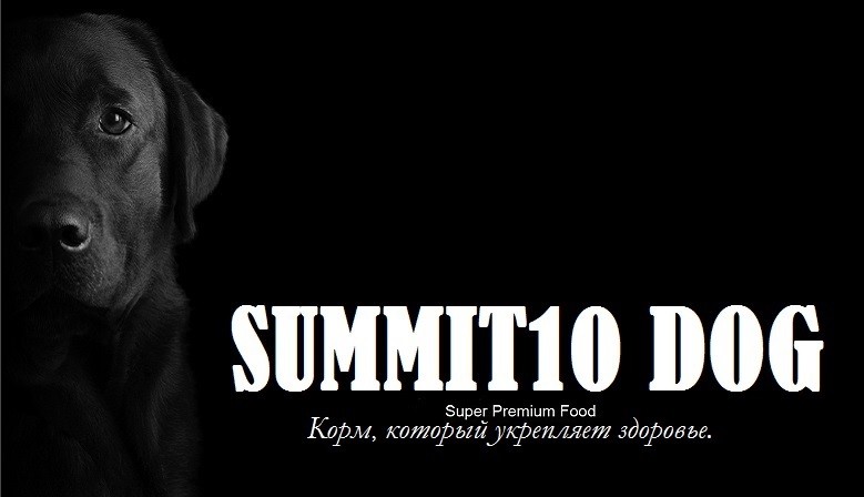 SUMMIT10 DOGS
