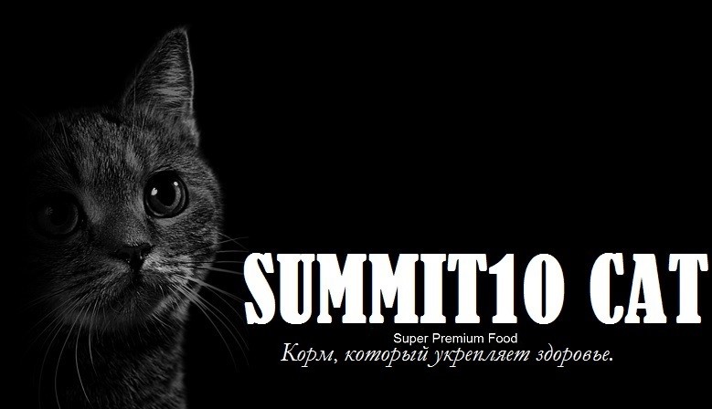 SUMMIT10 CATS